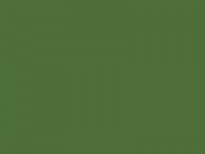Badewannenlack Grasgrün RAL 6010 matt
