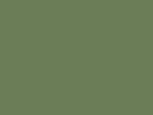 Wetterschutzfarbe Resedagrün RAL 6011