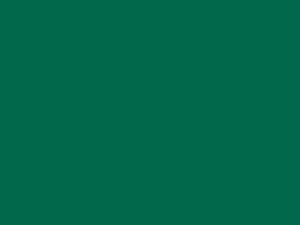 Fußbodenfarbe Türkisgrün RAL 6016 hochglänzend