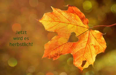 Oktober-Rabatt