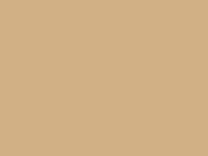 Wetterschutzfarbe 2in1 Beige RAL 1001