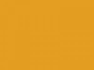 Garagentorlack Goldgelb RAL 1004
