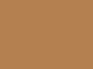 Wetterschutzfarbe 2in1 Braunbeige RAL 1011
