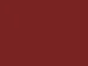 Fliesenfarbe Braunrot RAL 3011 matt