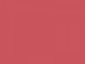 Badewannenlack Rosé RAL 3017 matt