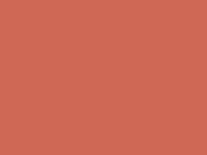 Wetterschutzfarbe Lachsrot RAL 3022 Lignolan®