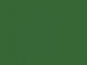 Garagentorlack Smaragdgrün RAL 6001