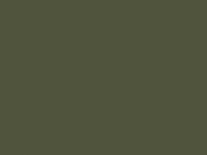 Poolfarbe / Schwimmbeckenfarbe | RAL 6003 Olivgrün | 2,5 L