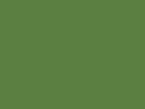 2K Fliesenfarbe Maigrün RAL 6017