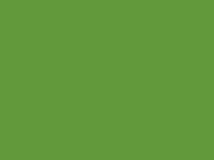 Badewannenlack Gelbgrün RAL 6018 seidenglänzend