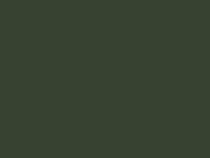 Wetterschutzfarbe Chromoxidgrün RAL 6020 Lignolan®