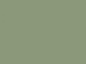 2K Fliesenfarbe Blaßgrün RAL 6021