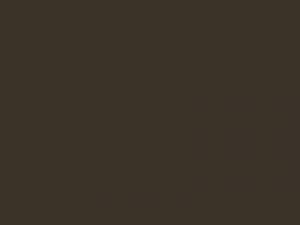 Wetterschutzfarbe Braunoliv RAL 6022 Lignolan®