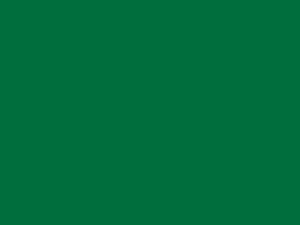 Wetterschutzfarbe Minzgrün RAL 6029 Lignolan®
