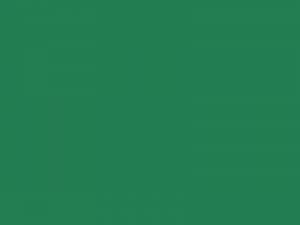 Gartenrutschenlack Signalgrün RAL 6032
