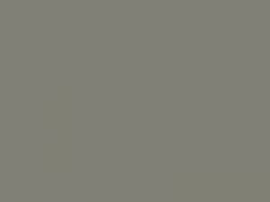 Wetterschutzfarbe Betongrau RAL 7023 Lignolan®