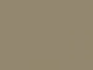 Wetterschutzfarbe Gelbgrau RAL 7034 Lignolan®