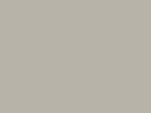 Wetterschutzfarbe Seidengrau RAL 7044 Lignolan®