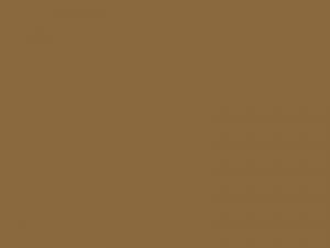 2K Metallschutzlack Grünbraun RAL 8000--- Neu Tanja