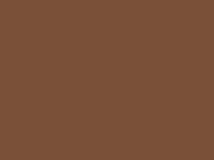 Wetterschutzfarbe Beigebraun RAL 8024 Lignolan®