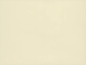 Designer Finish Creme