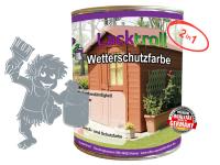 Wetterschutzfarbe 2in1 Silbergrau RAL 7001