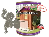 Wetterschutzfarbe 2in1 Moosgrau RAL 7003