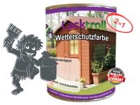 Wetterschutzfarbe 2in1 Eisengrau RAL 7011