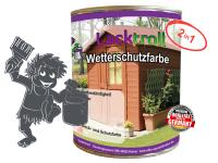 Wetterschutzfarbe 2in1 Schiefergrau RAL 7015