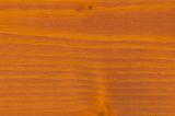 Pinie (CL0350)
