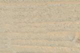 Saharasilber (KS7905 NS)