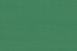 Mint (DC6350)